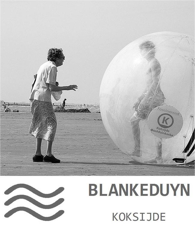 Blankeduyn Koksijde 아파트 외부 사진